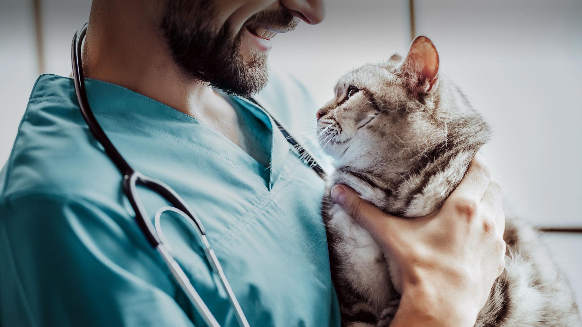 Viranşehir Veteriner